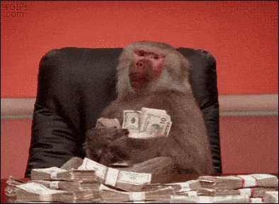 CEO